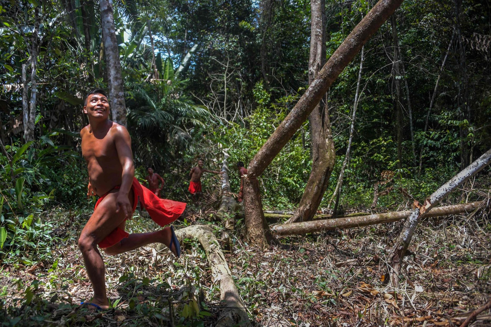 Waiapi hõimu liige maniokipõllu jaoks puid langetamas.