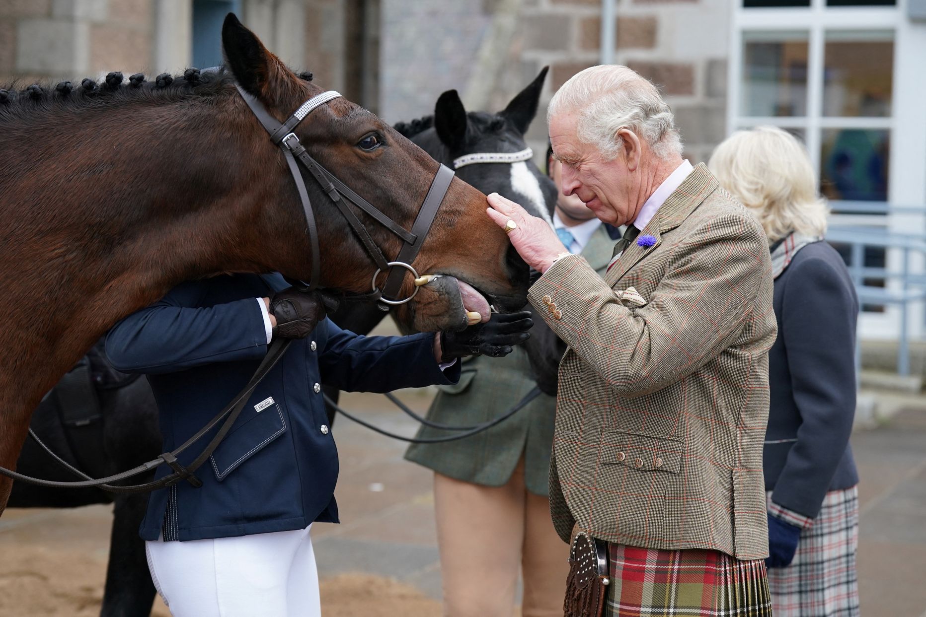 Briti kuningas Charles III ja kuninganna Camilla külastasid 11. oktoobril 2022 Aberdeenshire'i, kus neile näidati ka kohalikke hobuseid
