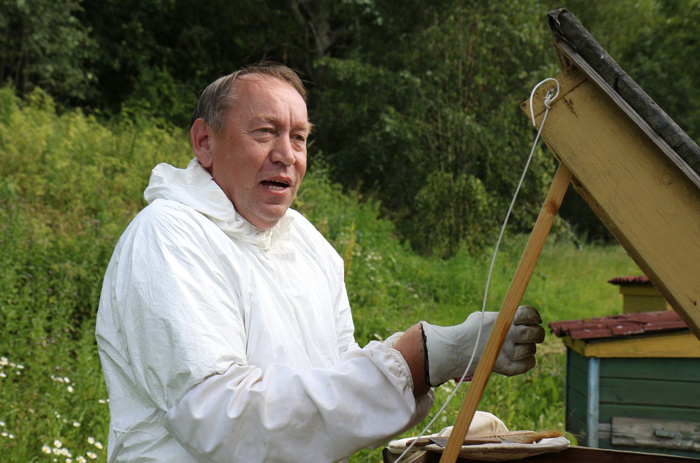 Eile tegi Jüri Sasi oma maakodus talutöid, muu hulgas askeldas mesitarude juures.