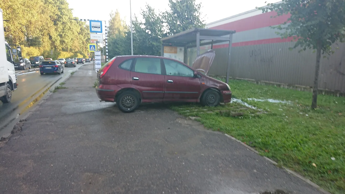 Raksta foto