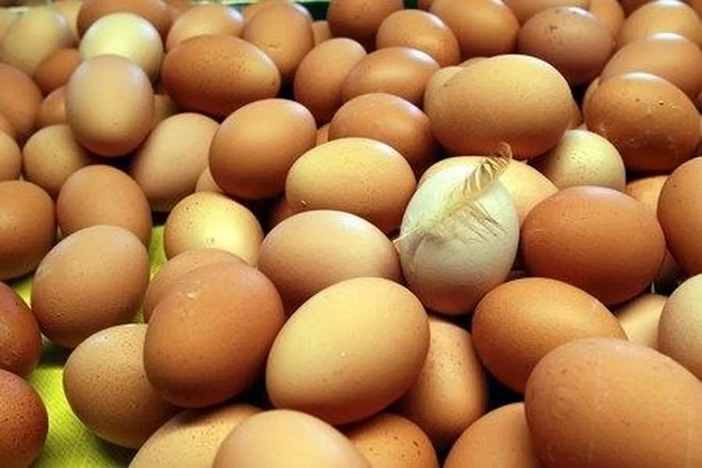 Tänavu suurenes nõudlus munade järele juba ligi kuu enne lihavõttepühi.