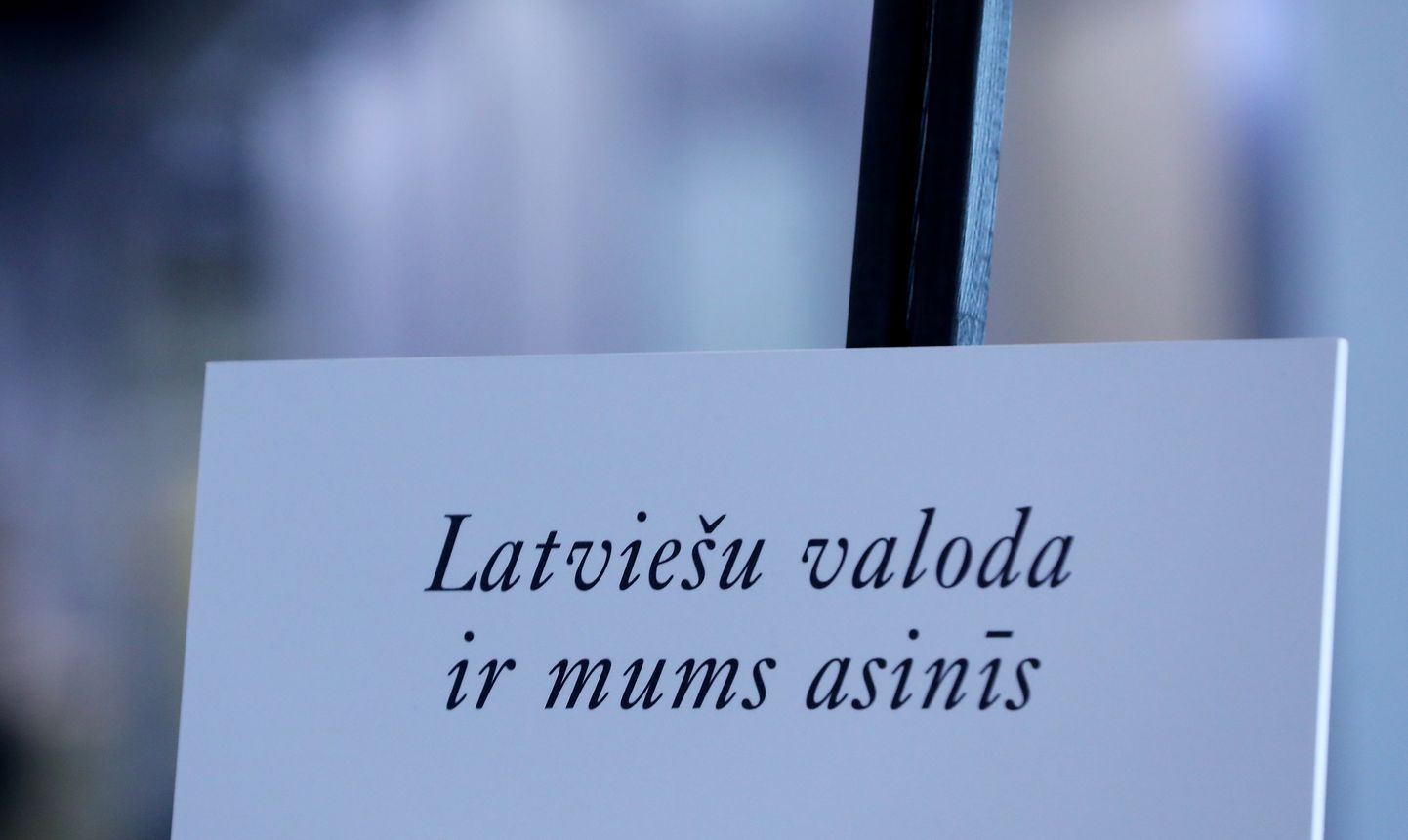 Pasaules diktāts latviešu valodā Latvijas Nacionālās bibliotēkas Ziedoņa zālē.