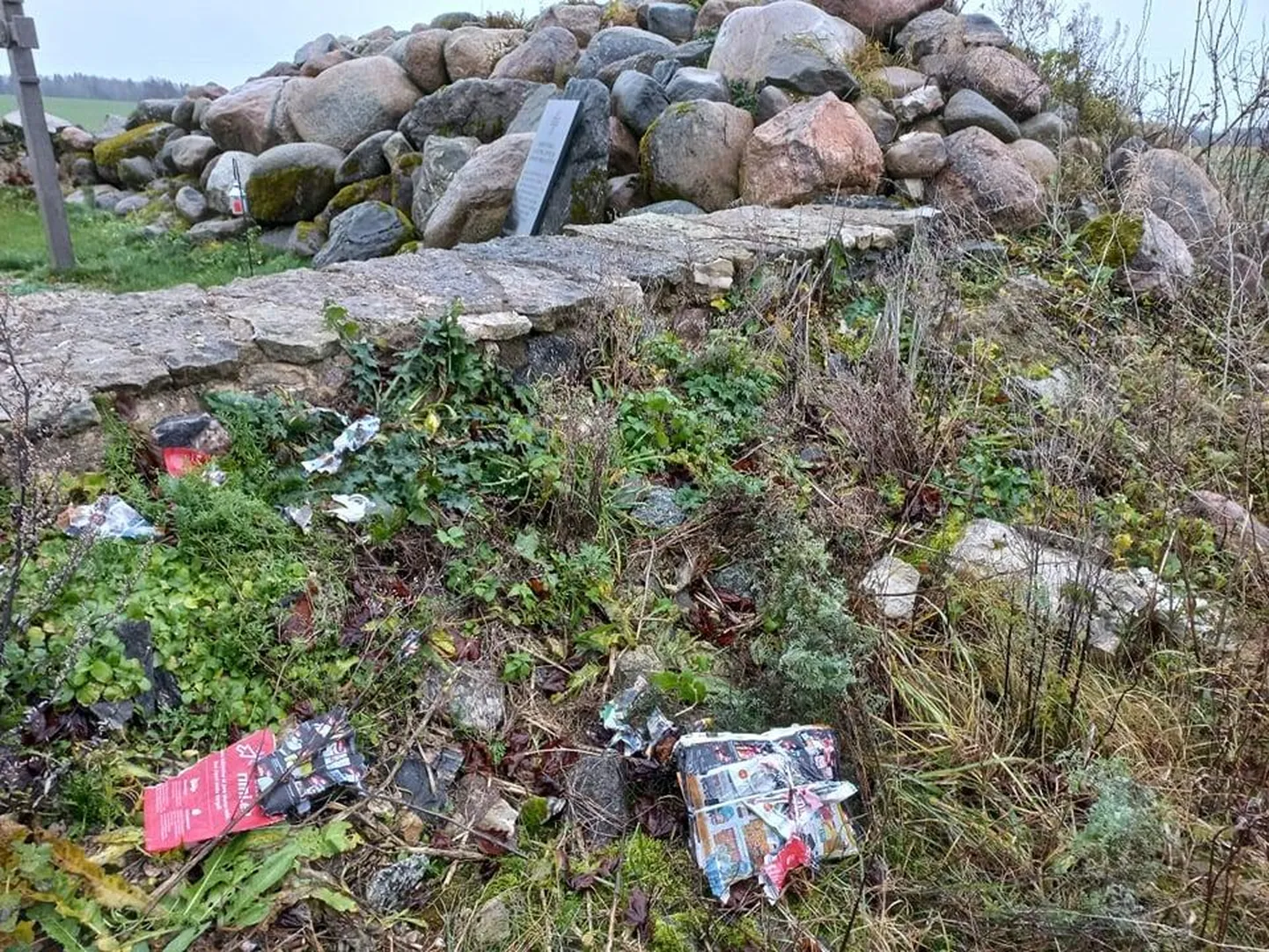 Kinnine pakend reklaampostitustega oli visatud vabadussõja mälestussamba kõrvale.