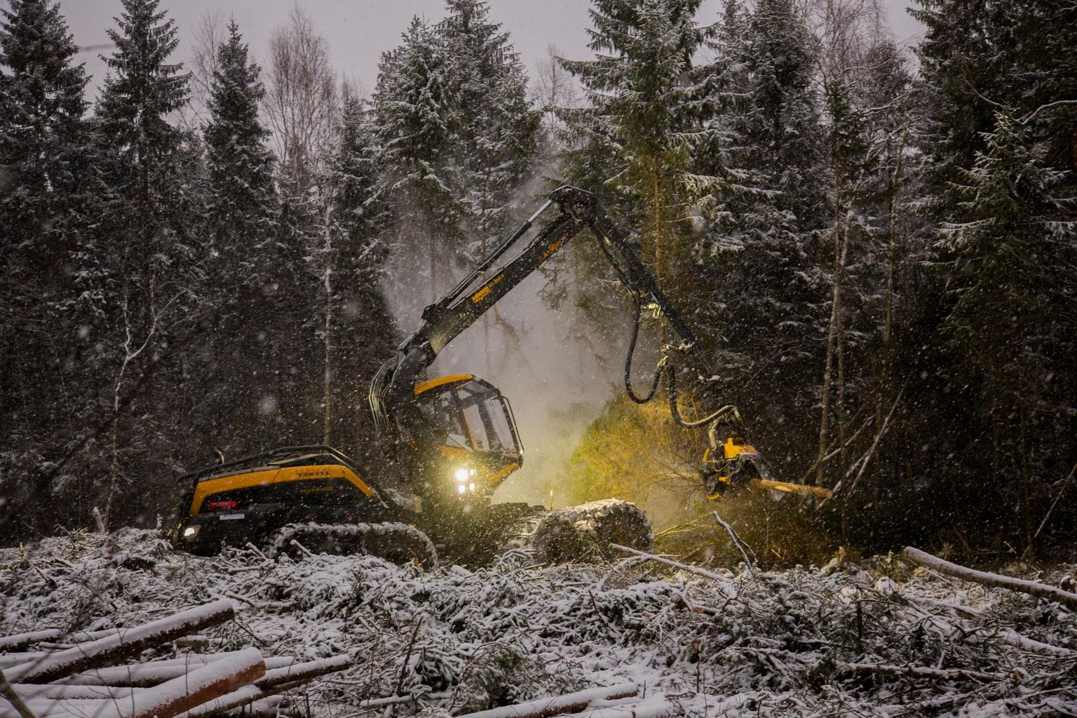 Vaid siis, kui metsaraiet vähendada kolmandiku võrra, õnnestuks Eestile pandavaid kliimapaketi kohustusi täita.