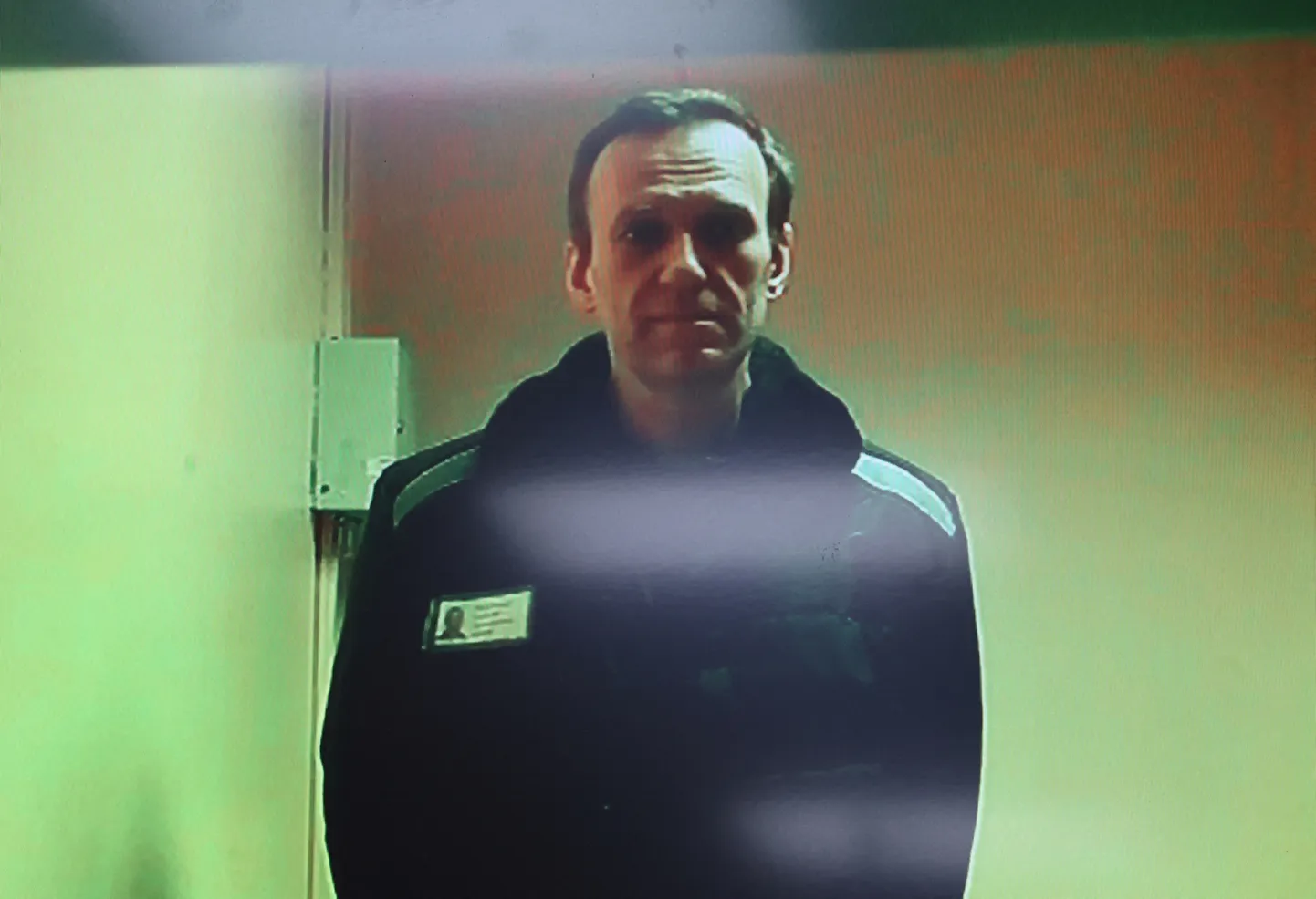 Vladimiri oblastis karistuskoloonias viibinud Aleksei Navalnõi osalemas tänavu aprillis video vahendusel kohtuistungil.