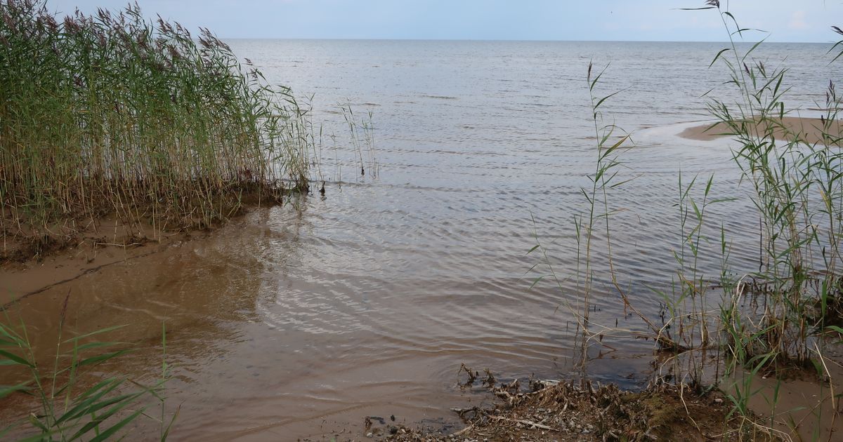 Esmaspäev tuleb soe ja tuuline