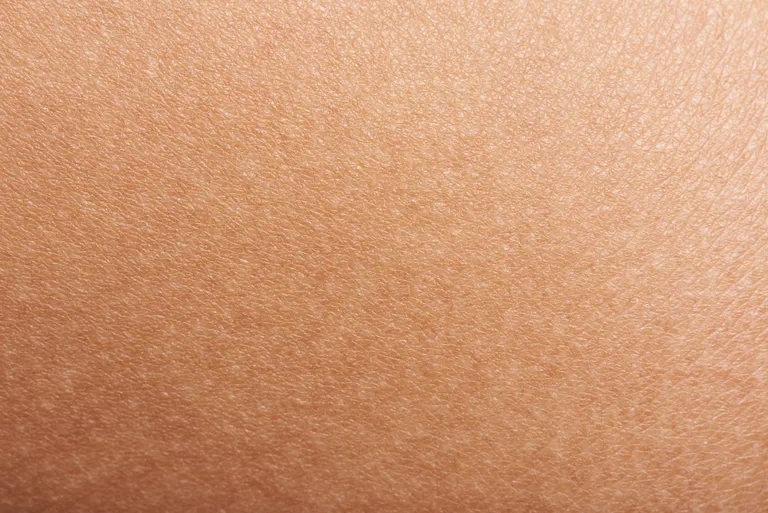Inimnahk. Pilt on illustreeriv