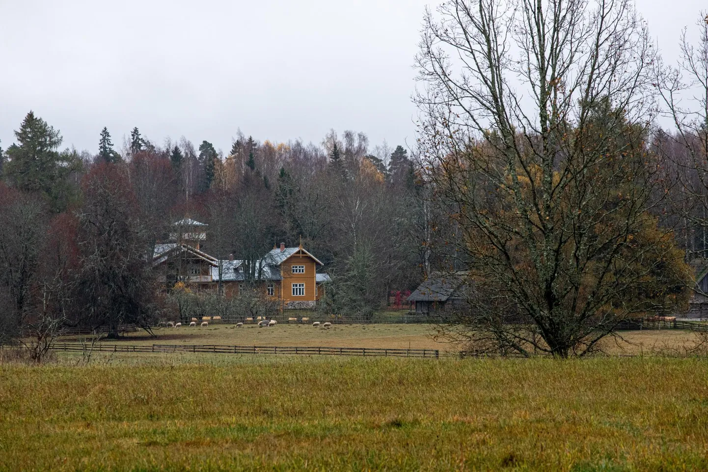 Carl Robert Jakobsoni talu ümbitsev kaitseala võib väheneda viiendiku võrra.