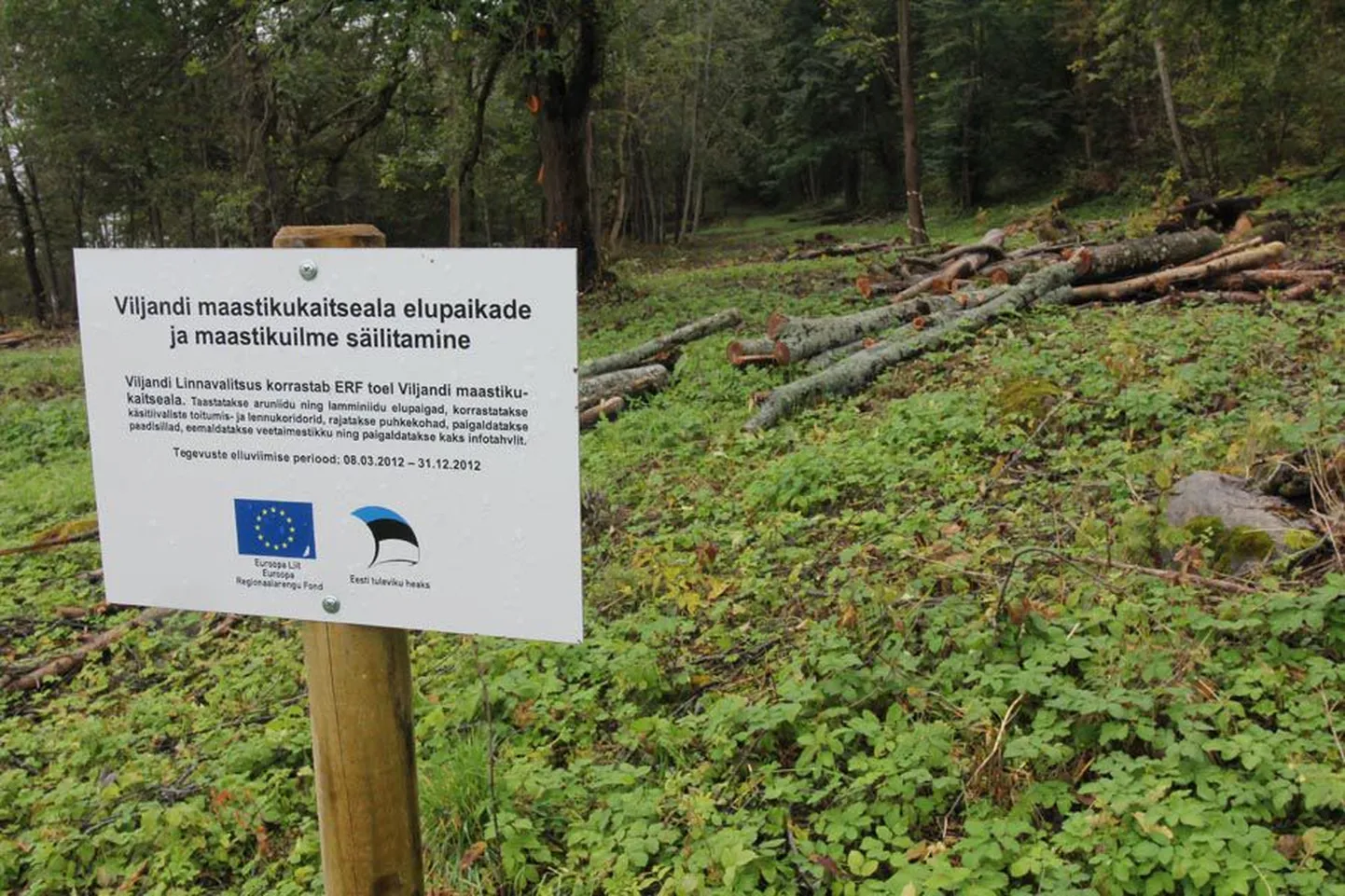 Huntaugu läheduses kulgevad metsarajad on ka nahkhiirte lennukoridorid.
