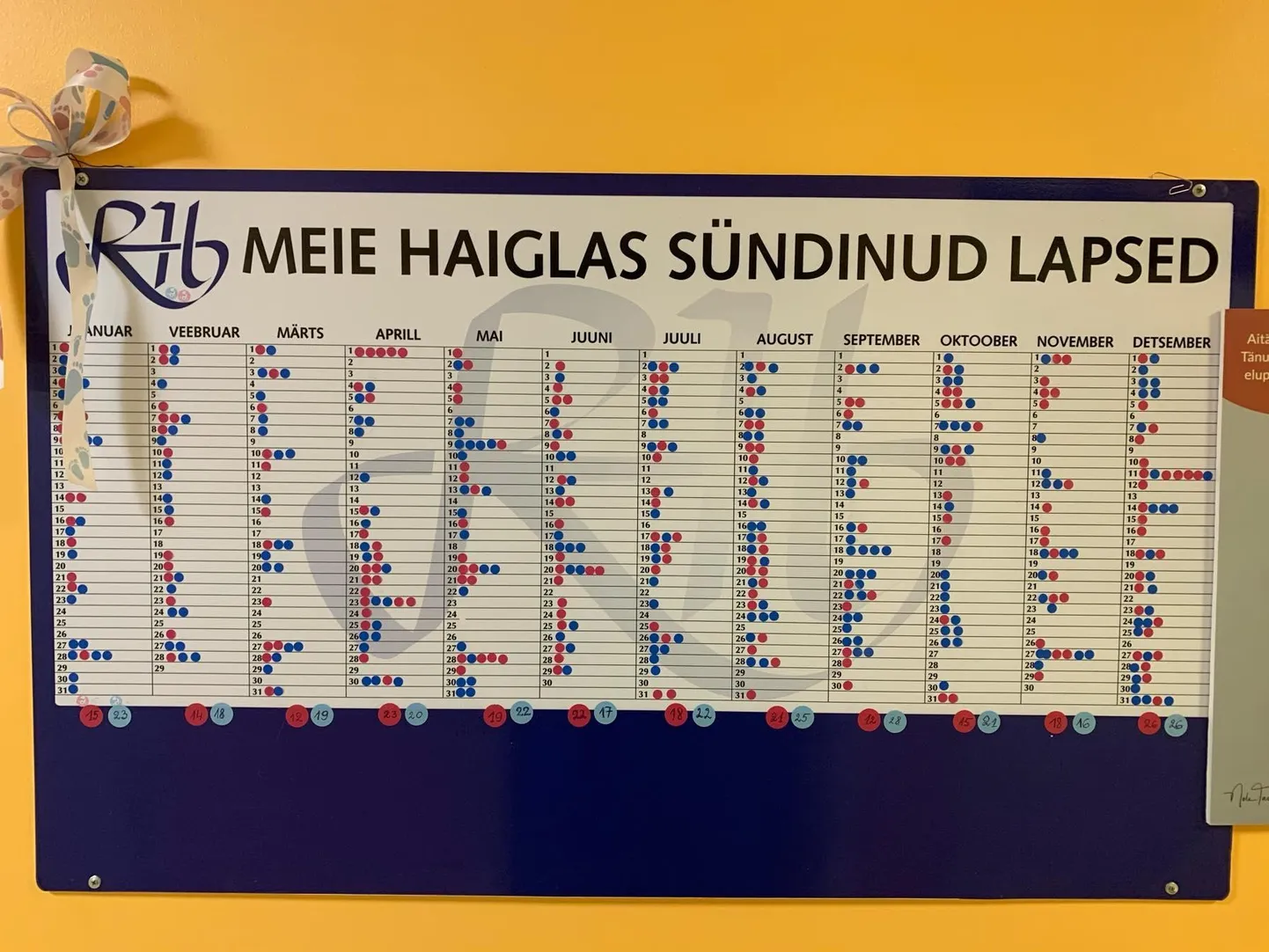 2019. aastal sündis Rakvere ahiglas rohkem tüdrukuid kui poisse.