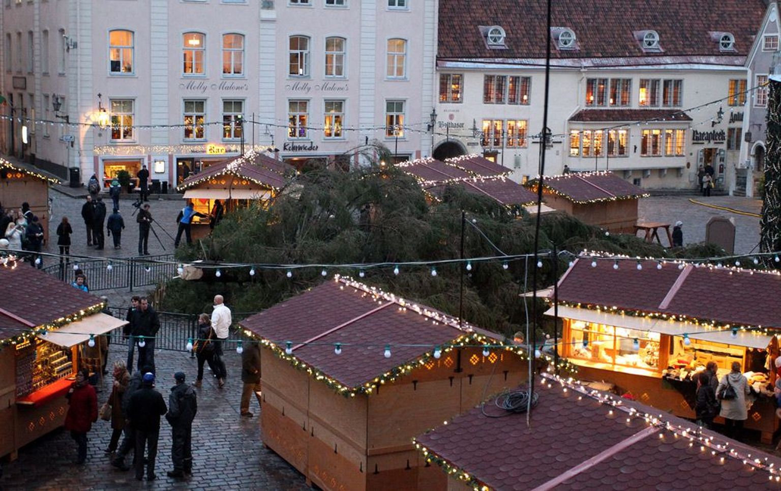 24 meetri kõrguse Tallinna esindusjõulupuu kukkumistrajektoorilt reede pärastlõunal jäid inimesed ja päev hiljem avatud jõuluturu kioskid õnneks kõrvale.