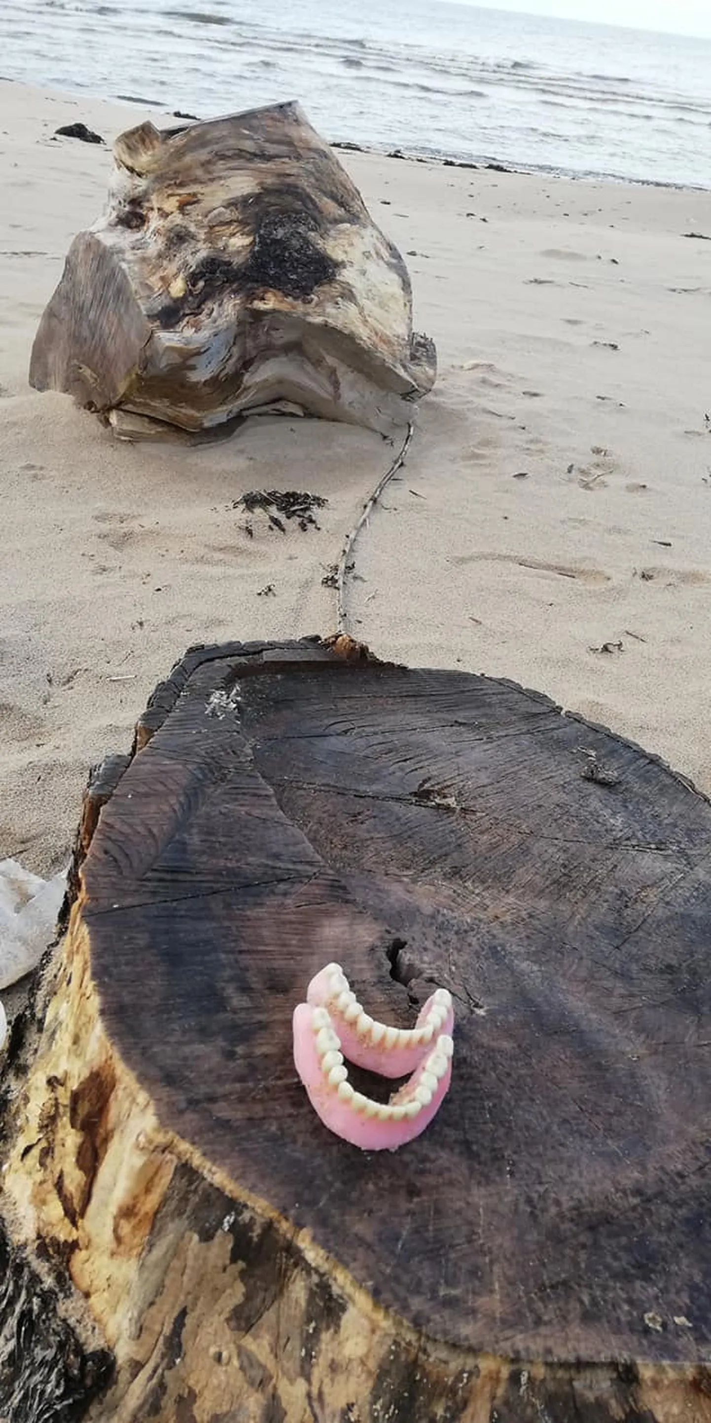 Skultes pagastā smiltīs atrastas zobu protēzes.