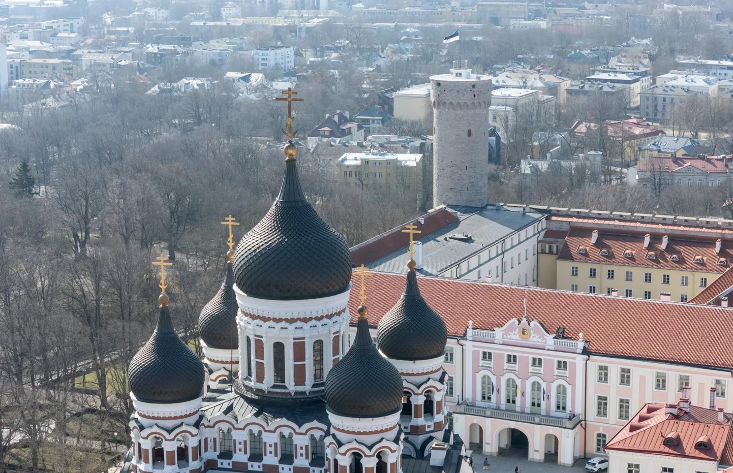 Фото статьи