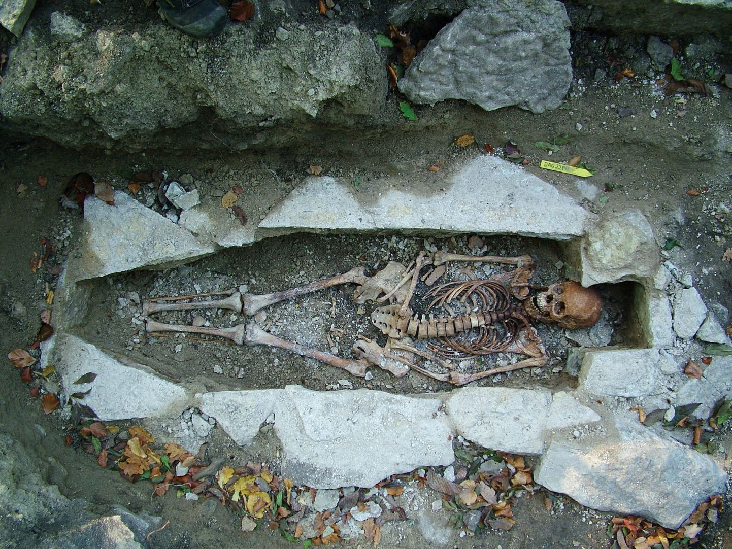 Viikingimatus, skeleti ümber on  näha kive, mis modustasid kirstu