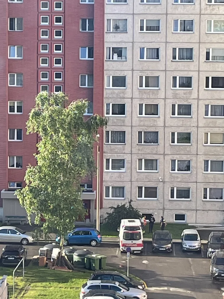 Фото с места происшествия.