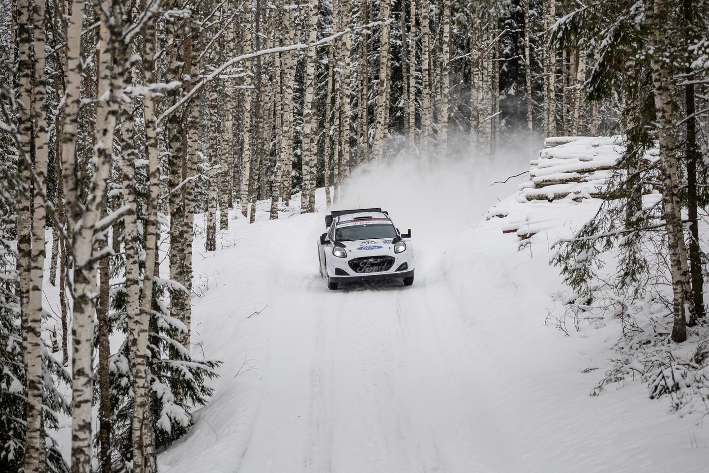 Talviselt maalilises metsas liikuv Ford pakub motospordihuvilisele rohkesti silmailu. 