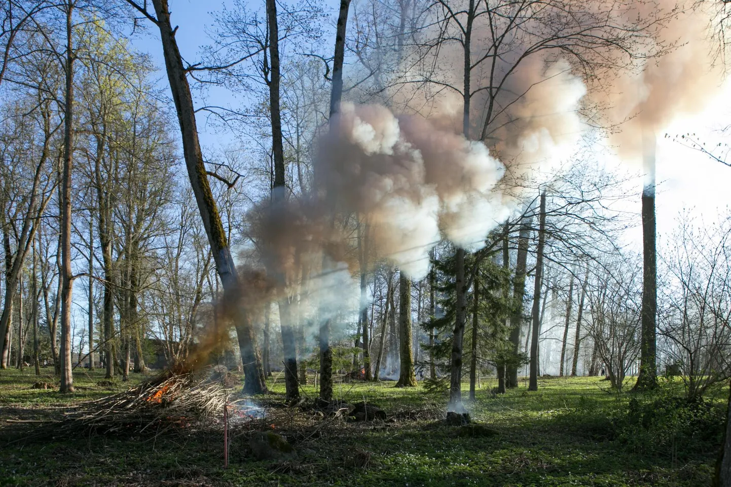 Lõke, foto on illustratiivne.