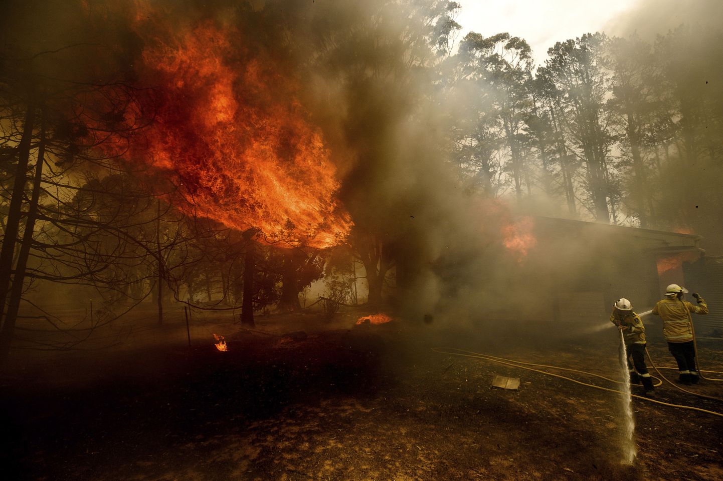 Tuletõrjujad kustutamas maastikupõlengut Uus-Lõuna-Walesis Bundanoonis