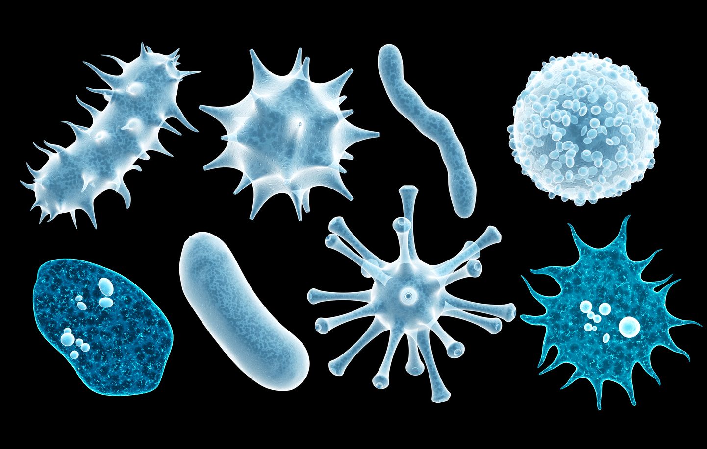 Viiruste, mikroobide ja bakterite komplekt.