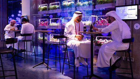 Эстония - на EXPO в Дубае: шейху приглянулись цветочные горшки, кронпринцу - робот-бармен