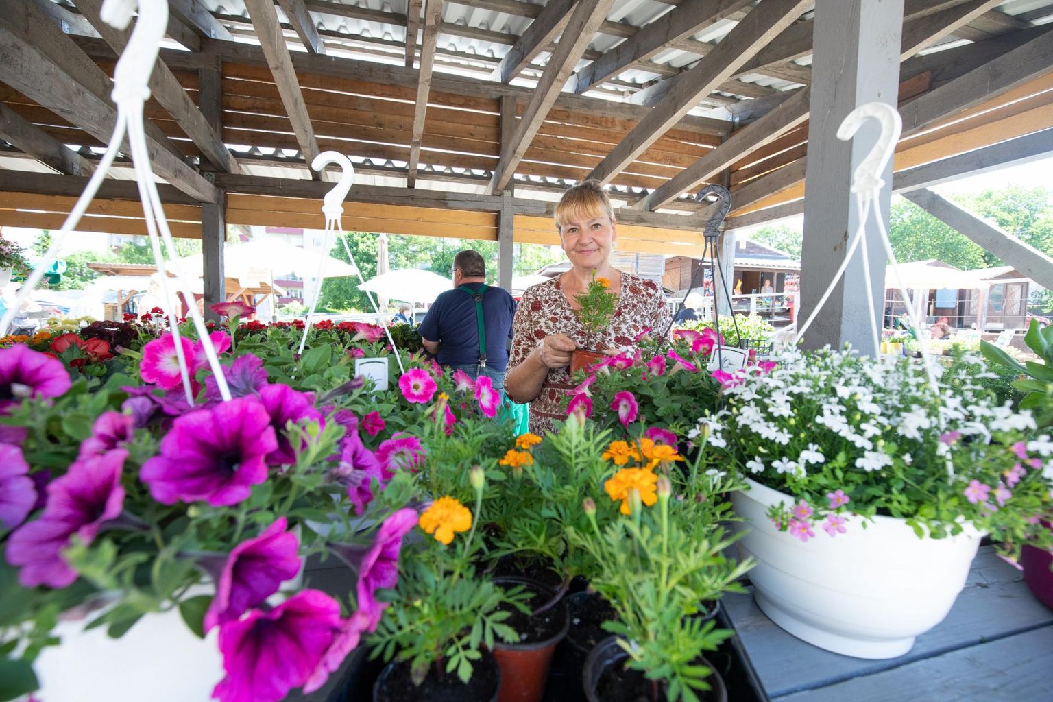 Ettevõtja Eha Kokoreva on Rakvere turul müümas esimest aastat. Kõik taimed ja lilled on usin naine ise seemnest kasvatanud.