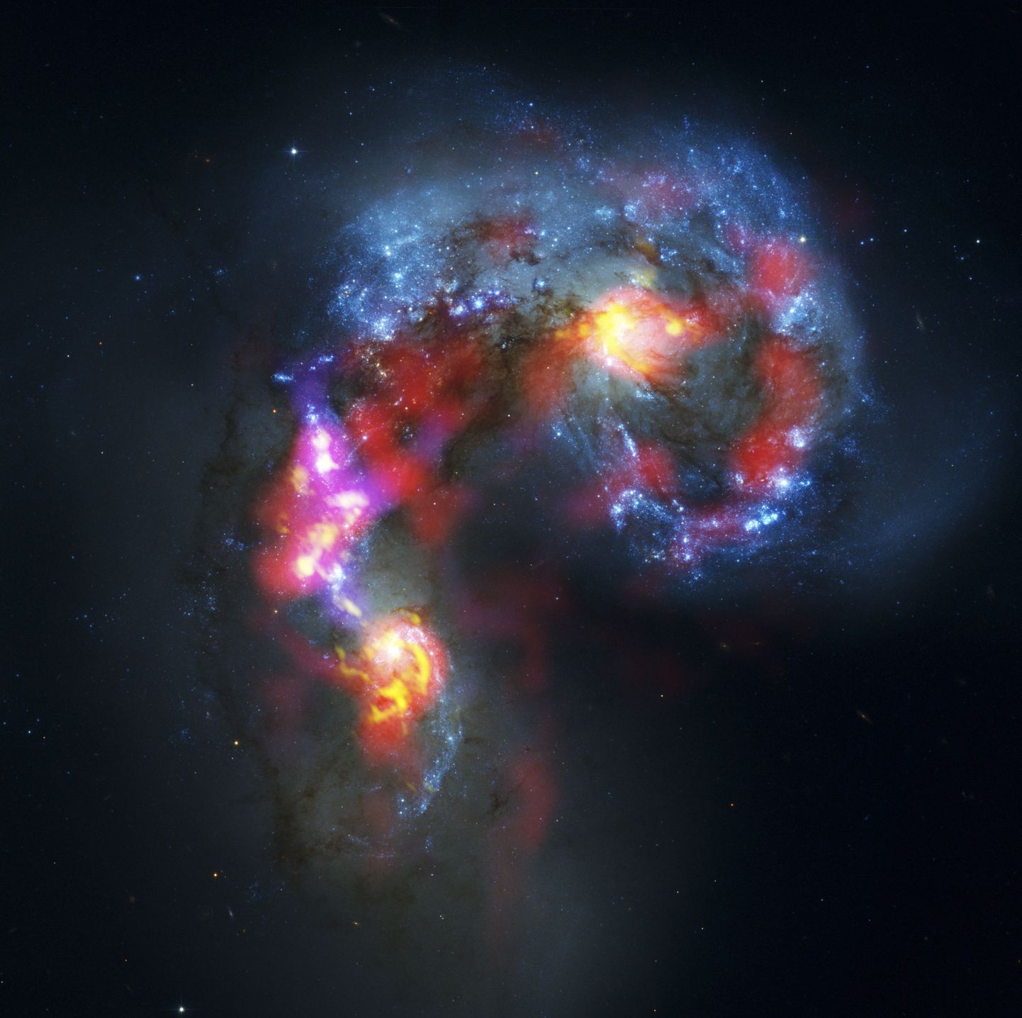 ALMA tegi esimesed fotod 70 miljoni valgusaasta kaugusel asuvatest Tundlate ( Antennae) paarisgalaktikatest NGC 4038 ja NGC 4039. Need asuvad Kaarna tähtkujus