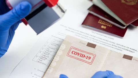 Будет ли необходим паспорт вакцинации для путешествий?