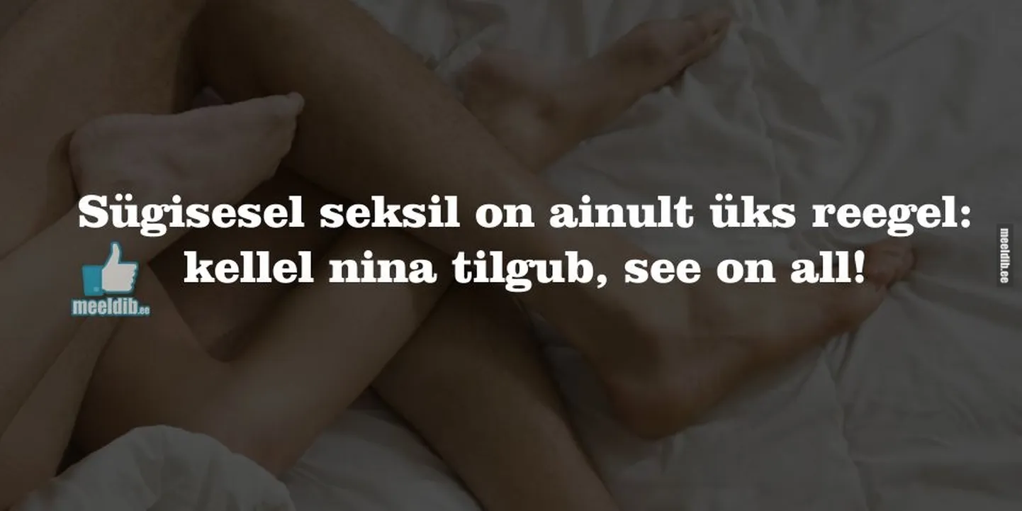 Artikli foto
