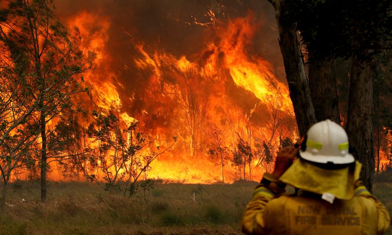 Tuletõrjuja New South Walesis Old Baris jälgimas tule levimist