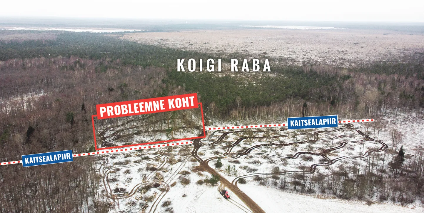 RAIEALA paikneb Koigi maastikukaitseala piiranguvööndis, kus puidu kokku- ja väljavedu tuleb teha külmunud pinnasel, et ei jääks rööpaid.