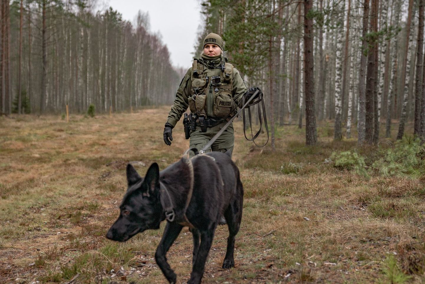 Сотрудница эстонской пограничной службы патрулирует границу вместе с служебной собакой в 2019 году.