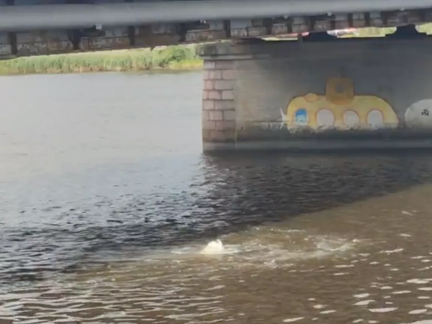 Paar aastat tagasi saatis ajalehele mullitava vee video juhuslik mööduja.