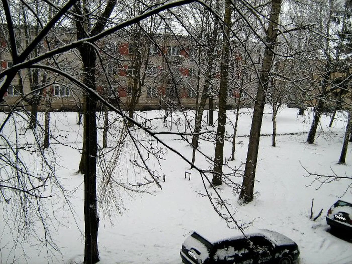 Raksta foto