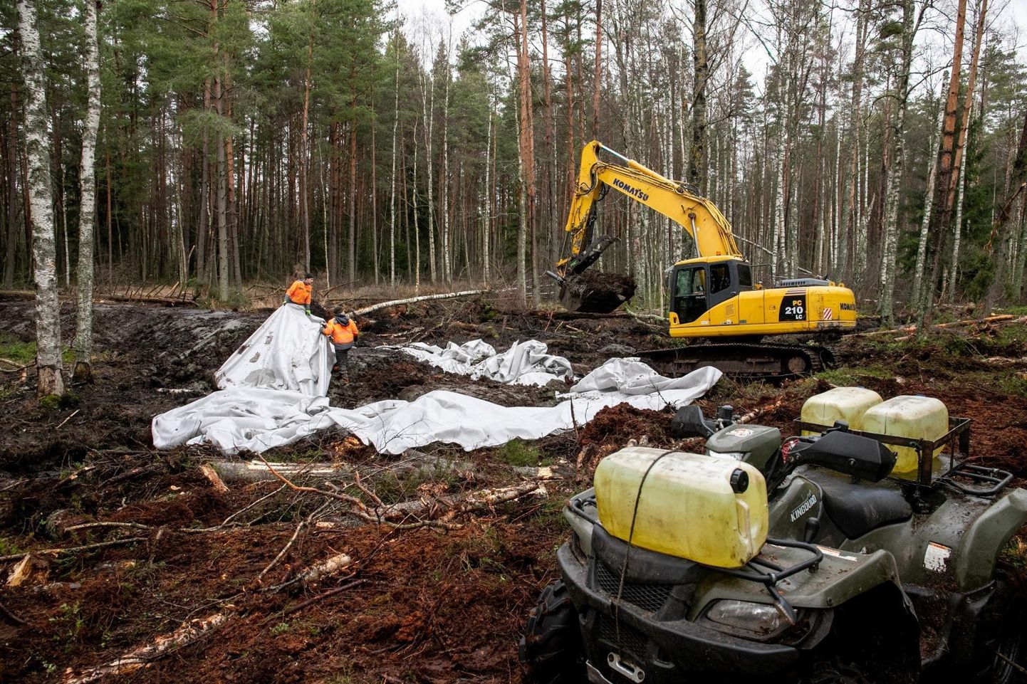 Tolkuse raba taastamine hõlmab Luitemaa looduskaitsealal ligemale 900 hektarit.