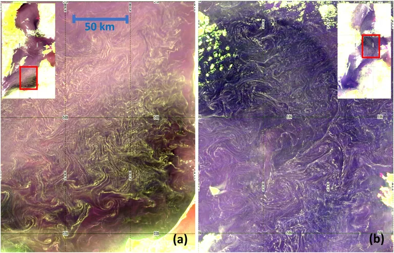 VIIRS FRGB satelliidipildid, mis pärinevad 16. maist 2018 (a) ja 5. juunist 2021 (b). Need näitavad ulatuslikke õietolmulaike Läänemere lõunaosas (koordinaadid 54,8357°N, 18–21°E) ja põhjaosas (57,83–60°N, 19–22°E). Pildid on võetud NOAA OCView veebiportaalist ning nende värvikontrasti on kunstlikult muudetud, et tuua selgelt esile pinnal esinevad voolumustrid ja laigud.
