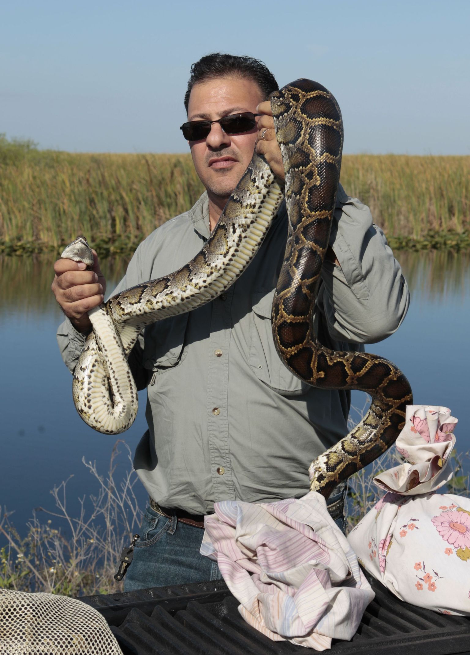 Evergladesi madude asjatundja Dave Leivman näitamas püütonit