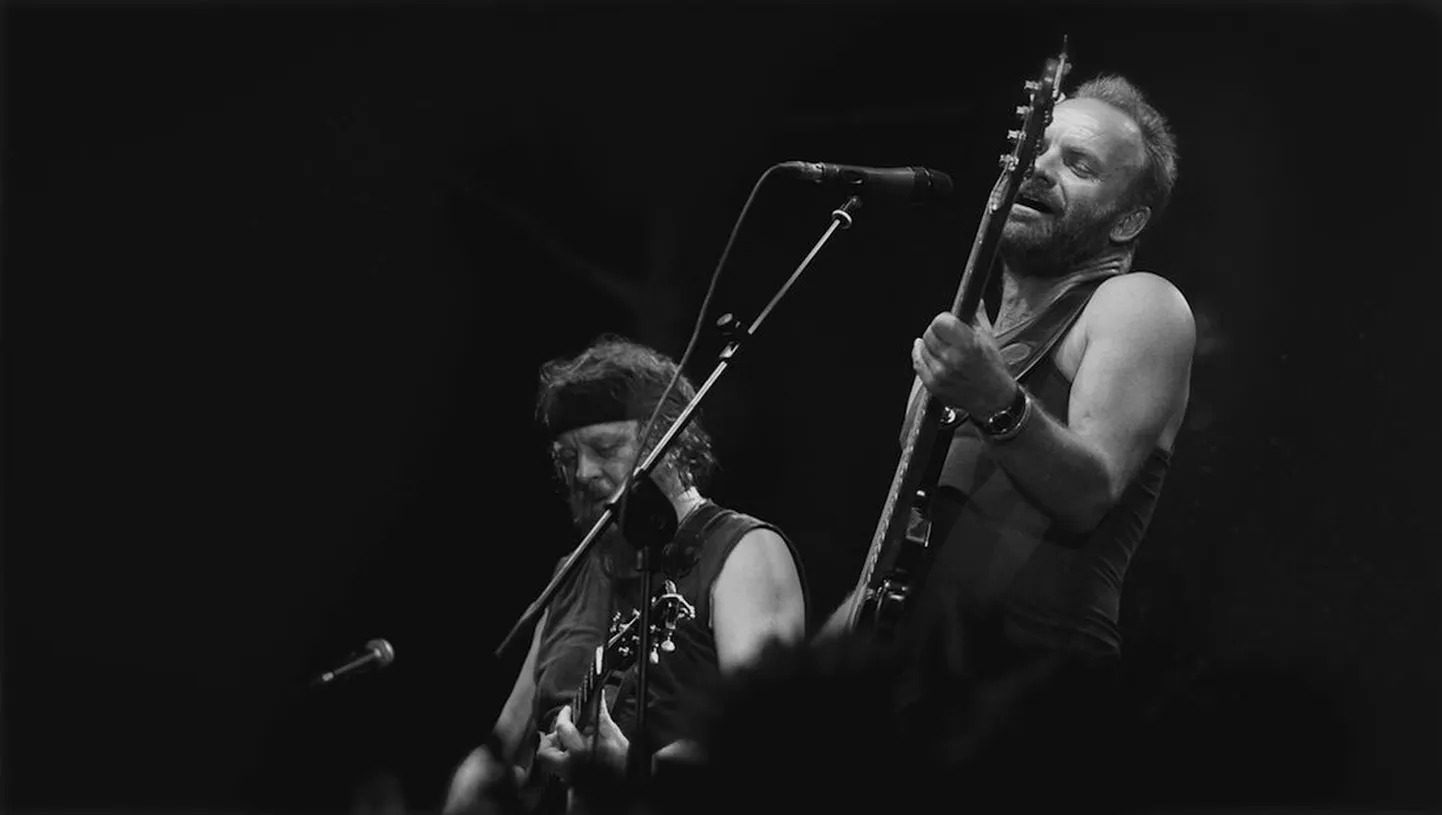 Sting.