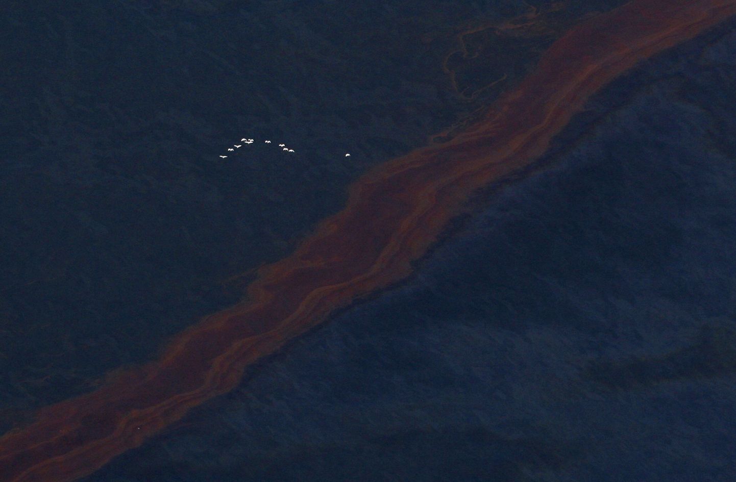 Нефтяное загрязнение в Мексиканском заливе.