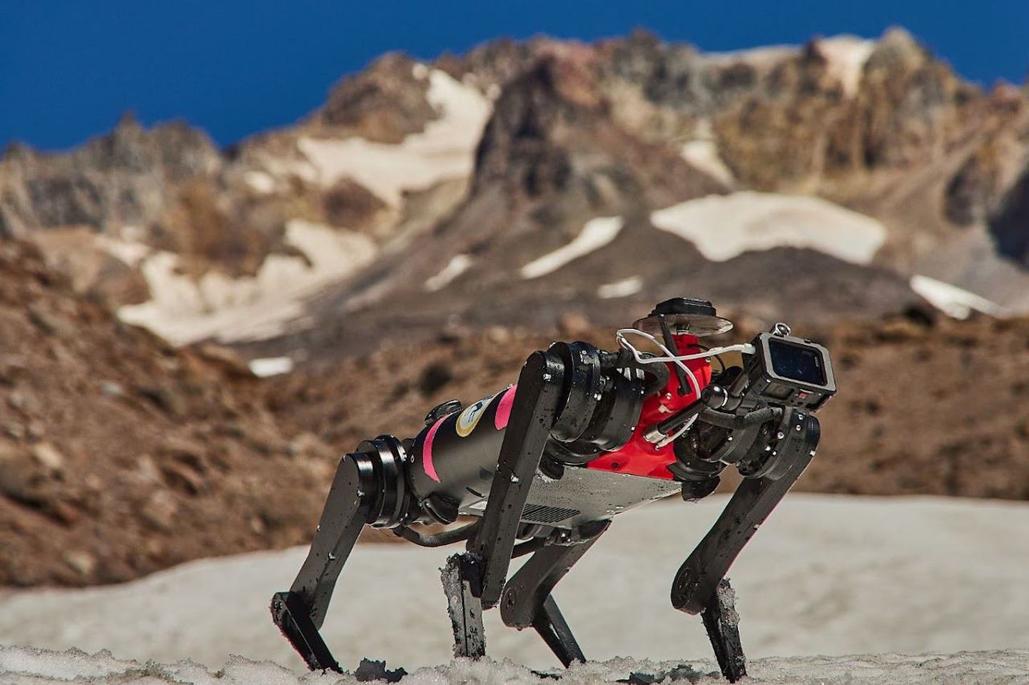 Robotkoer Spirit koperdas Maa karmidel maastikel, et selgitada välja, kas neljajalgne robotsõber saaks ka Kuu-missioonidel hakkama.