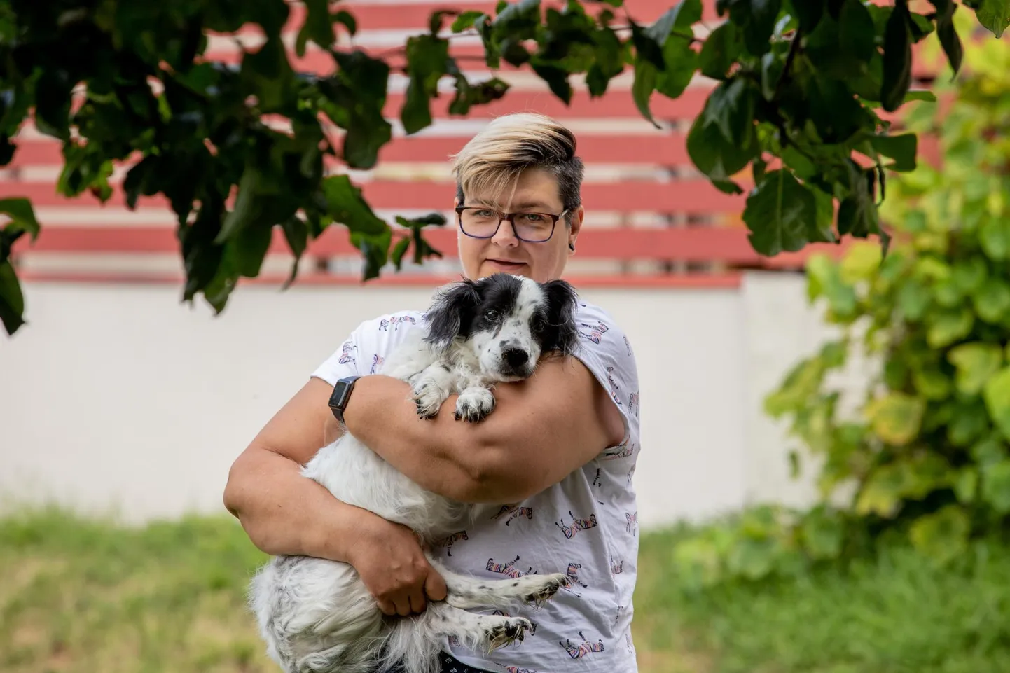 Vesselov julgustab kõiki haiguste pärast mitte lootust kaotama või kohe alla andma. Samamoodi usub Vesselov, et iga haiguse pärast ei tasu koera kohe magama panna.