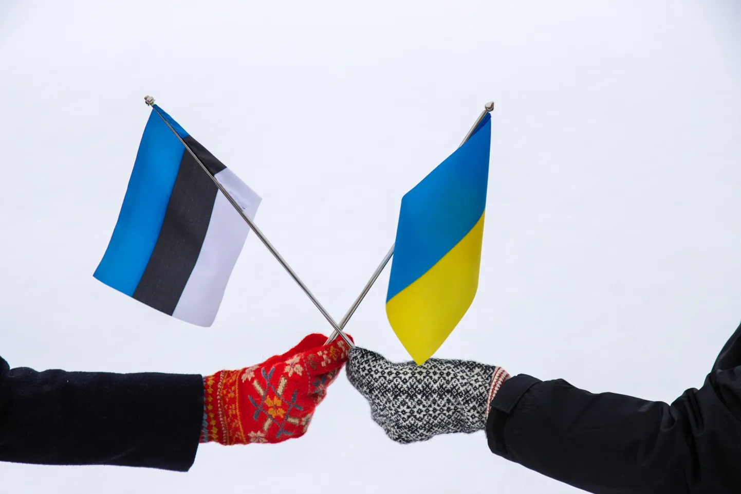Eesti ja Ukraina lipp.