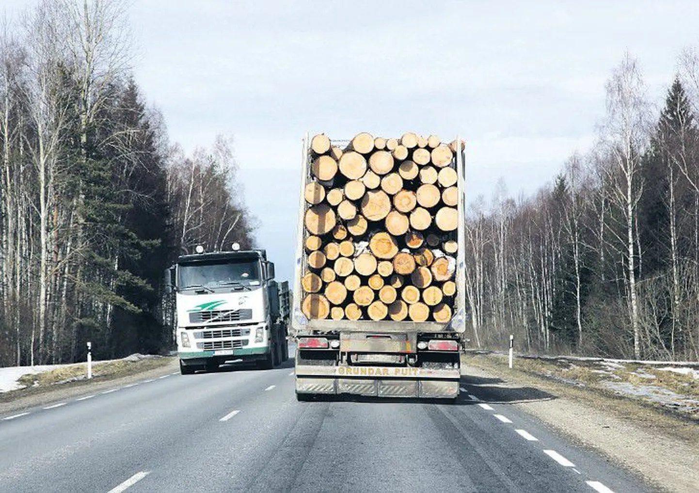 Одной из важных статей эстонского экспорта является лес.