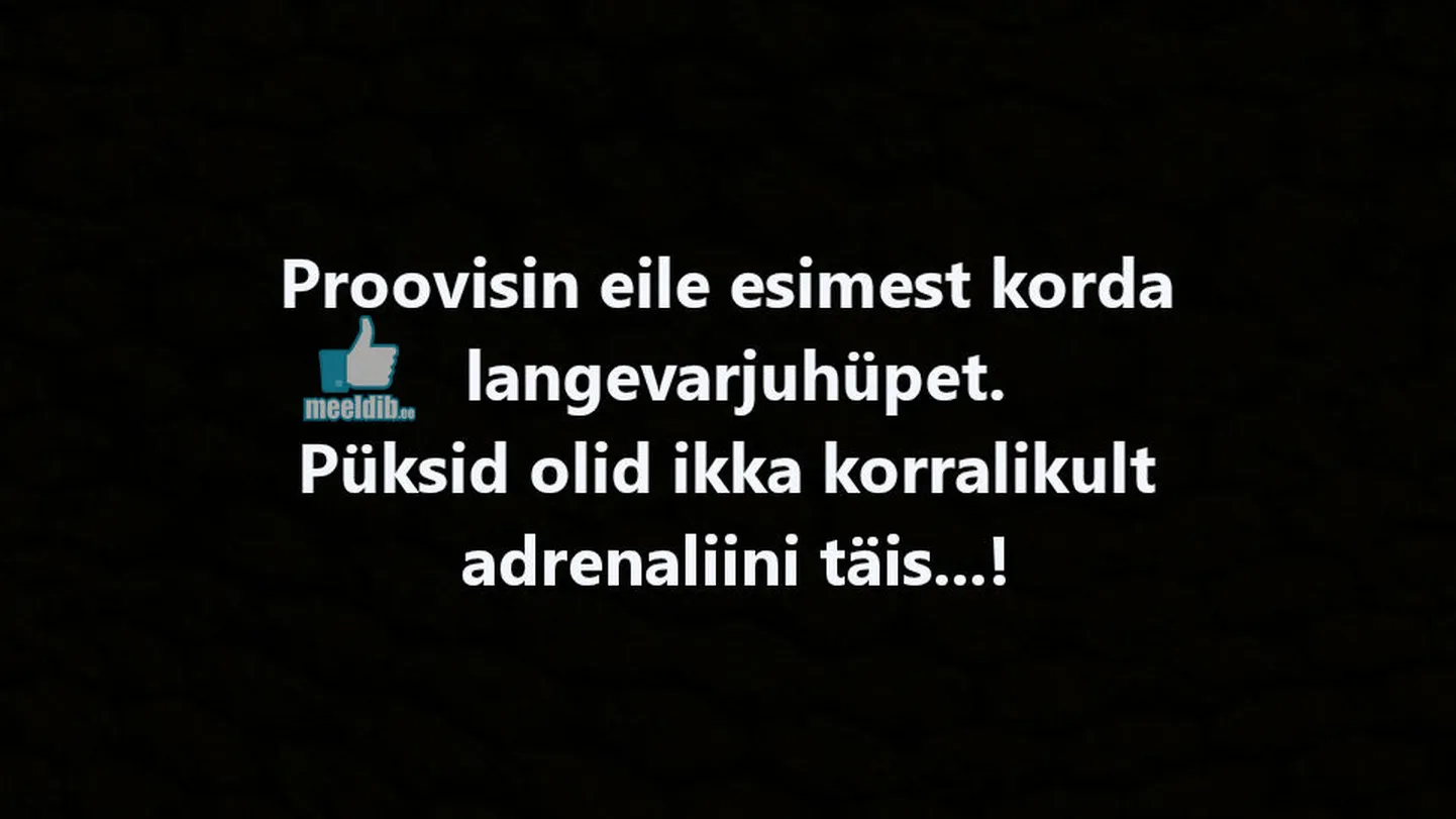 Artikli foto
