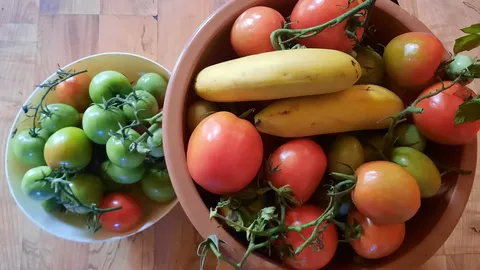 Soovitusi, mida kasvuhoonest ärakorjatud roheliste tomatitega peale hakata