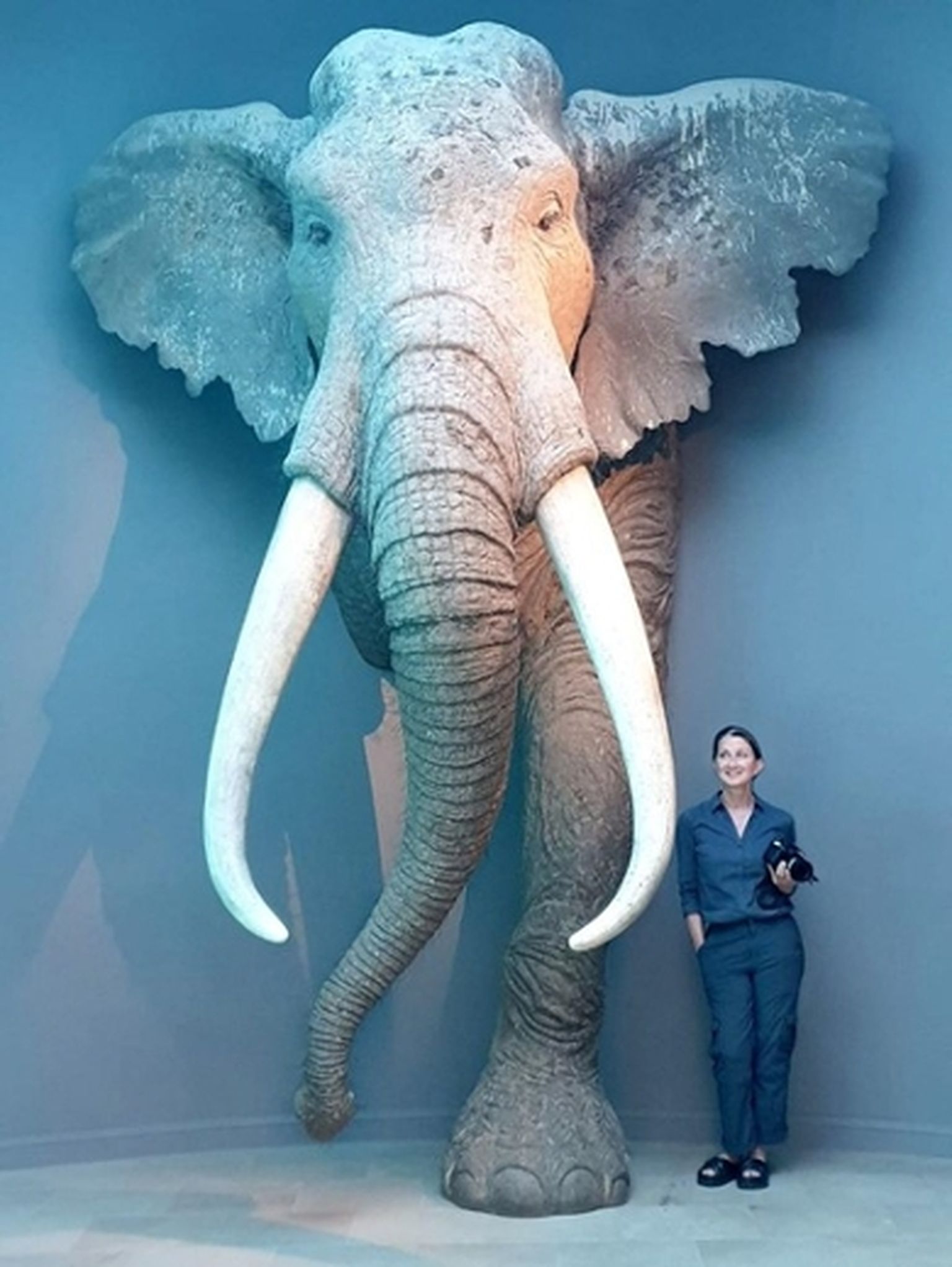 160 cm pikk uuringu juhtivautor Dr. Sabine Gaudzinski-Windheuser elusuuruses konstruktsiooniga sirgvõhalisest elevandist.