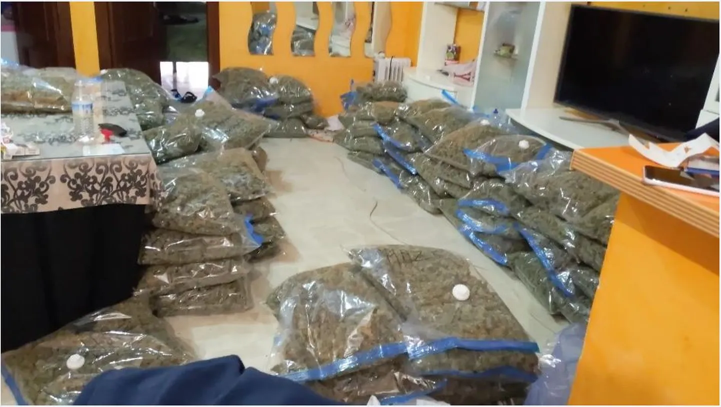 Narkoäri juhtimises kahtlustatav saatis selle pildi 152 kilost marihuaanast enne kauba teele panemist Hispaaniast.
