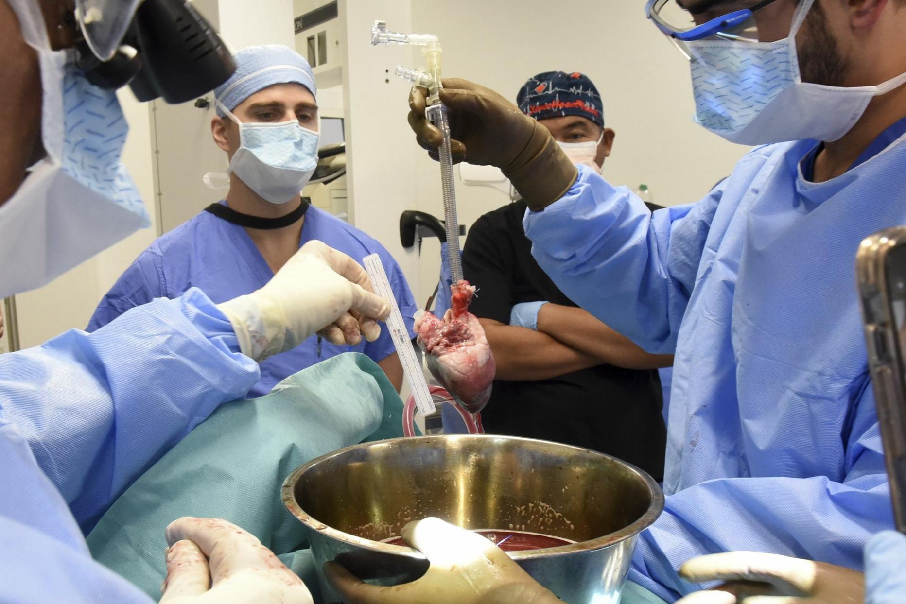 Marylandi ülikooli kirurgid valmistavad seasüdant siirdamiseks ette.