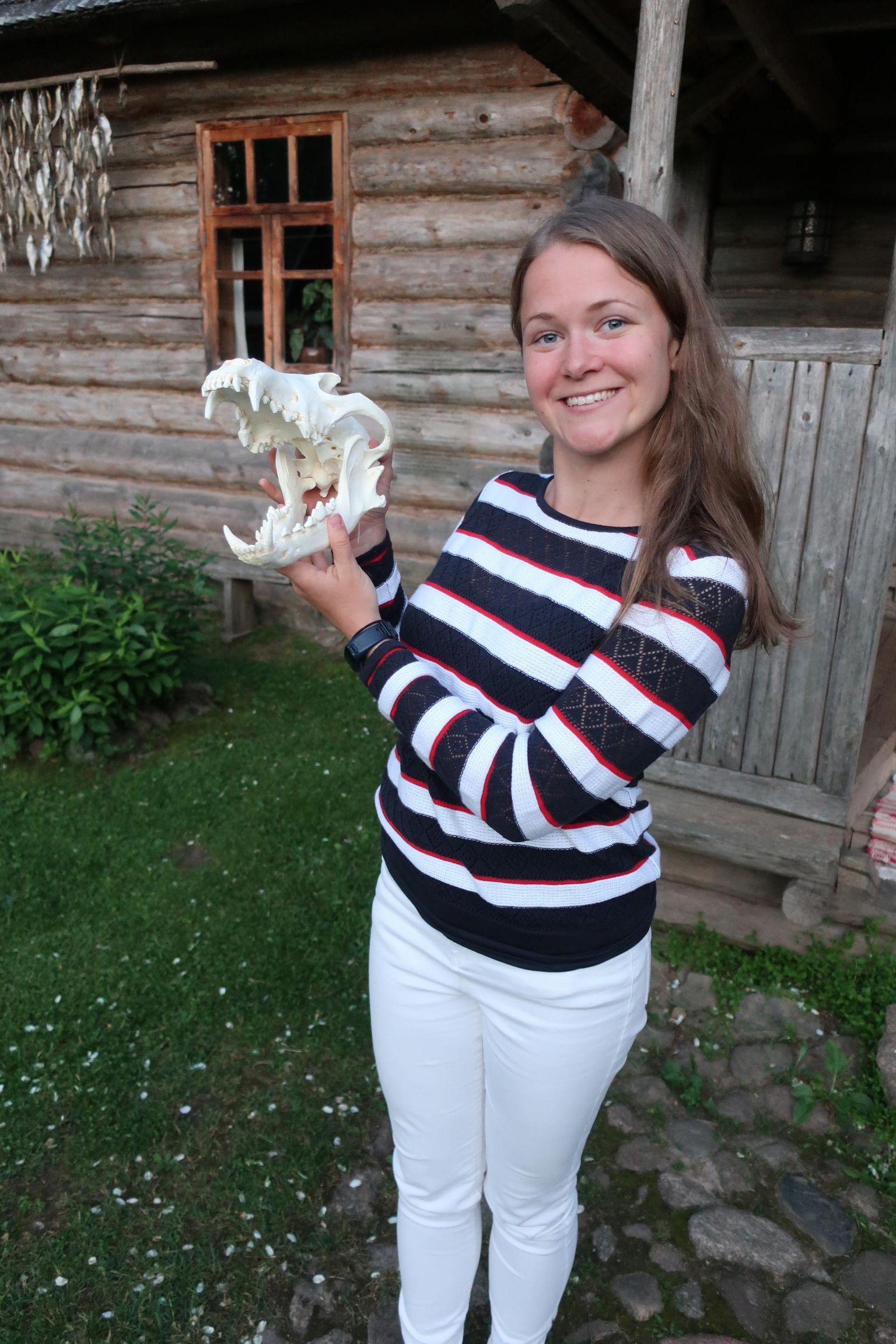 Laura Kiiroja näitab Värskas Seto talumuuseumi õuel Kanada hundi kolpa.
 