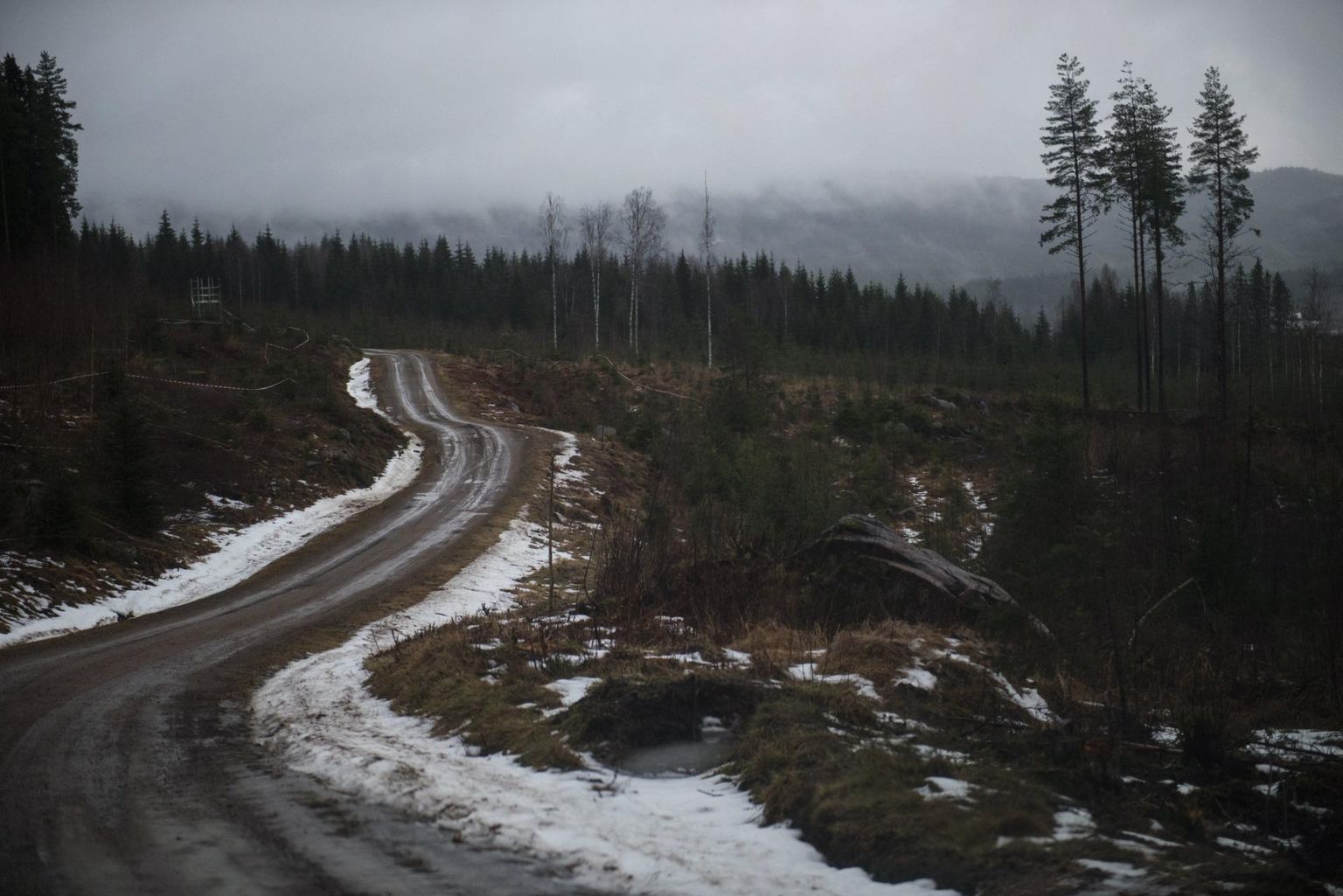 Lumepuudus kimbutas ka 2016. aasta Rootsi rallit.
 FOTO: Jaanus Ree / red Bull Content Pool