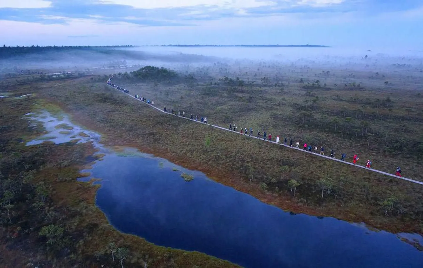 23. juuni varahommikul toimuv sookontsert on üks väheseid üritusi, tänu millele jäävad muusikafestivali külalised Suure-Jaani ööbima.